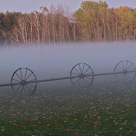 Waldpension Gussow Heidesee エクステリア 写真